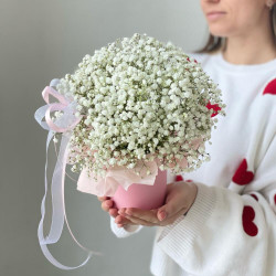 5 белых гипсофил в коробке